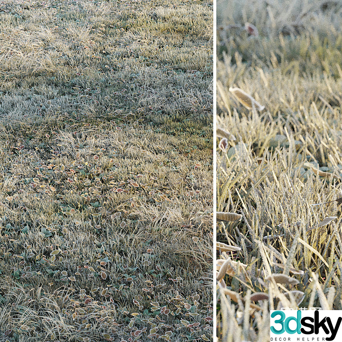 Frost grass 3d model