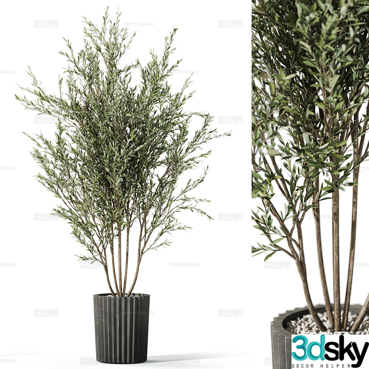 New Chinese green plant potted 3D model
