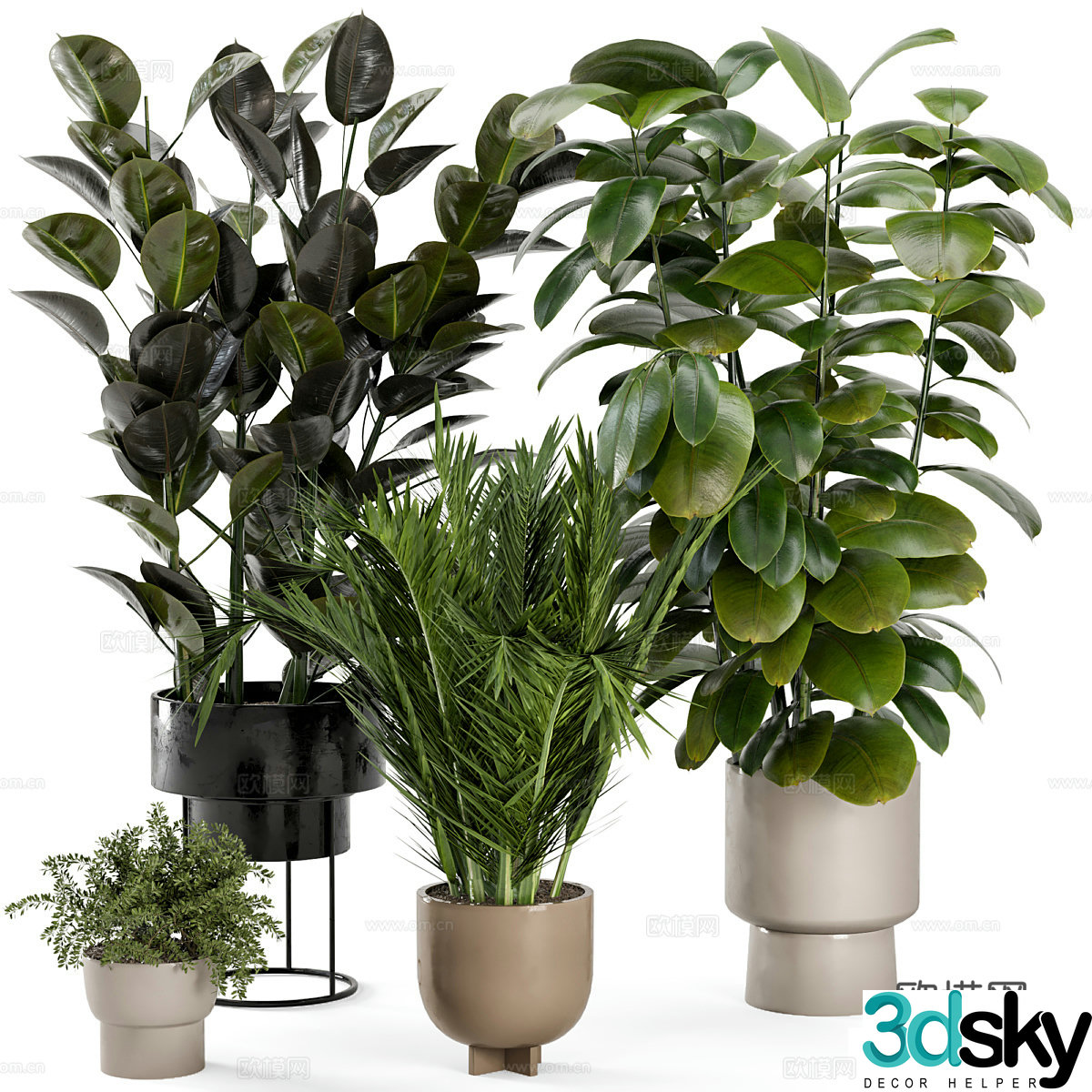 Green plant potted 3D model