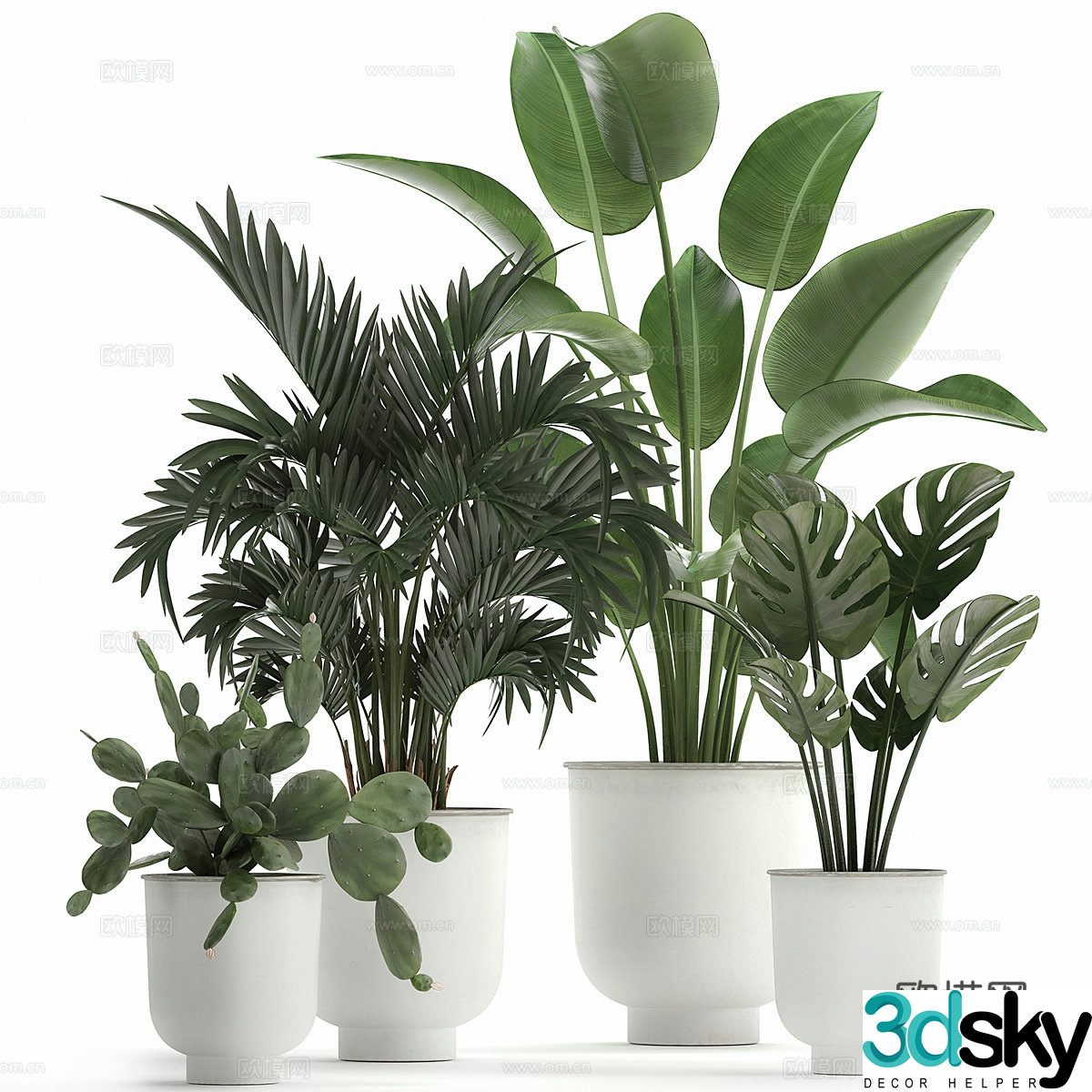 Green plant potted 3D model