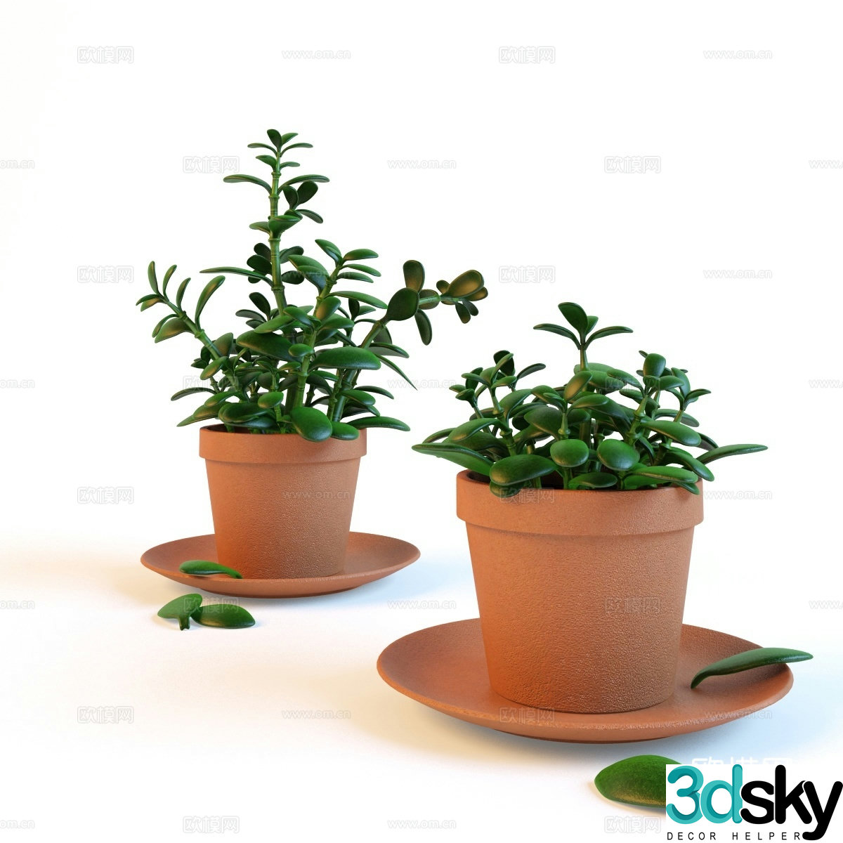 Small potted plant 3D model