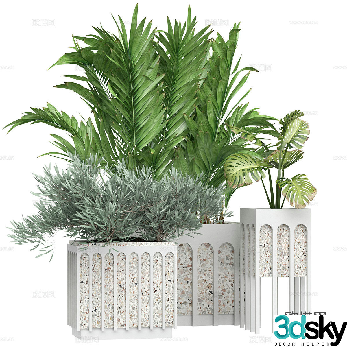 Green plant potted 3D model