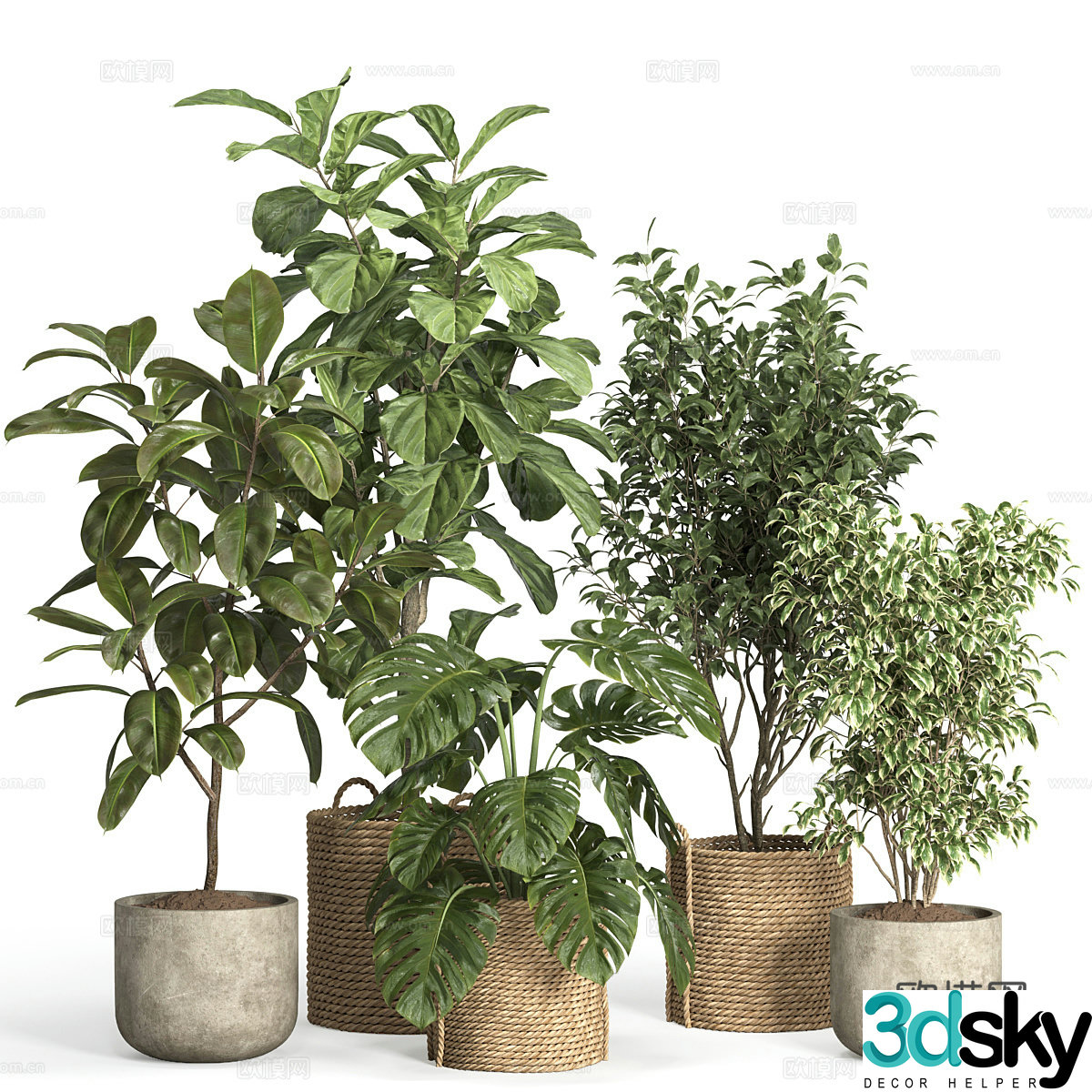 New Chinese green plant potted 3D model