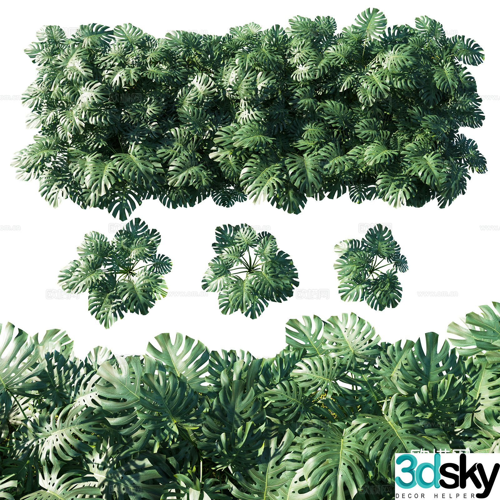 3D model of turtle back leaf wall decoration