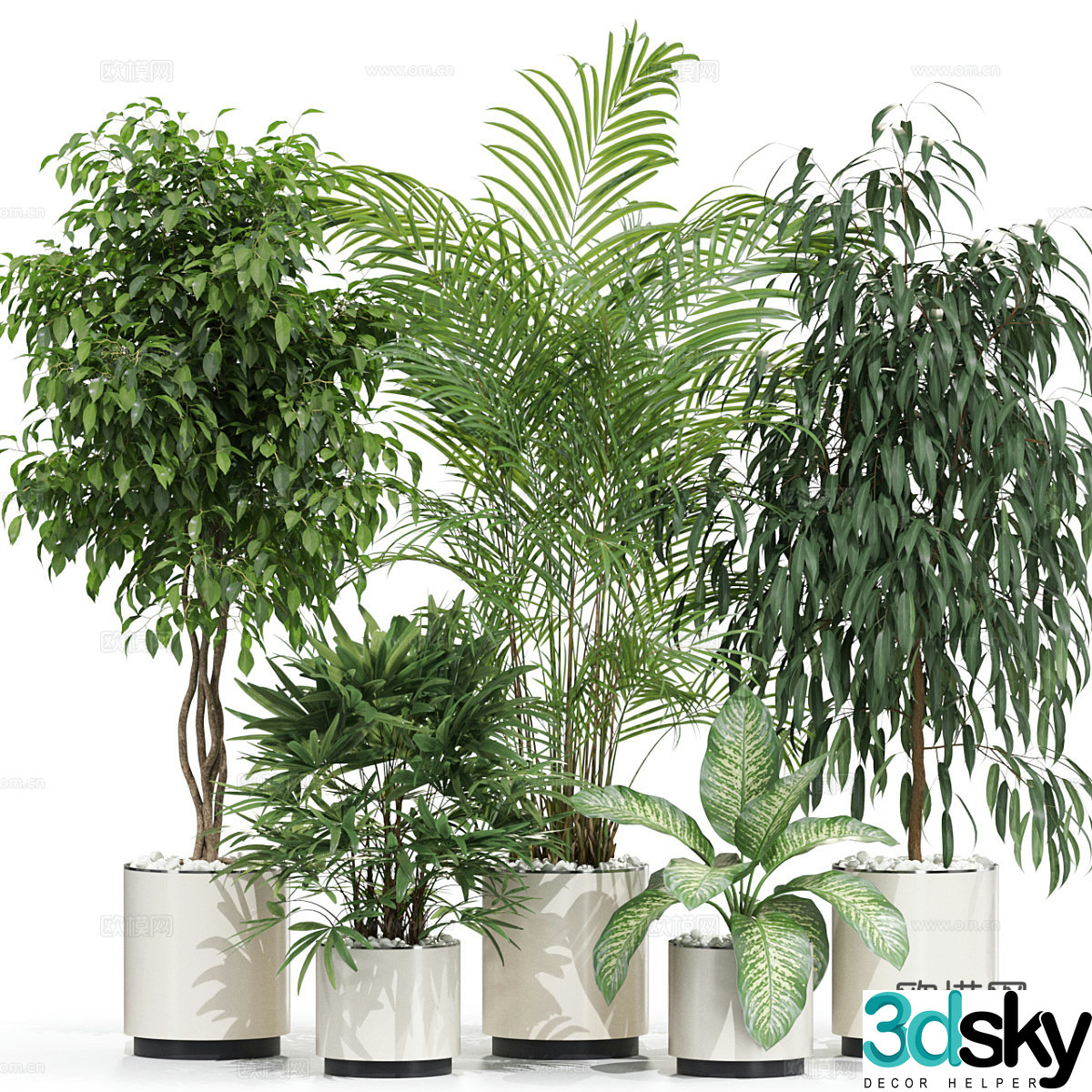Green plant potted 3D model