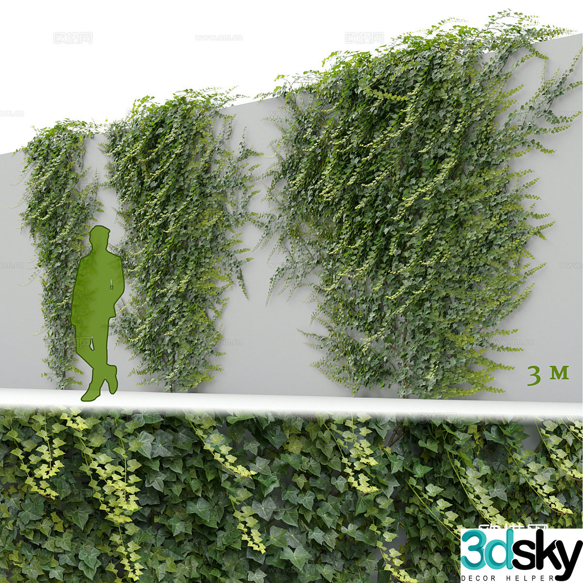 Ivy plant wall 3d model