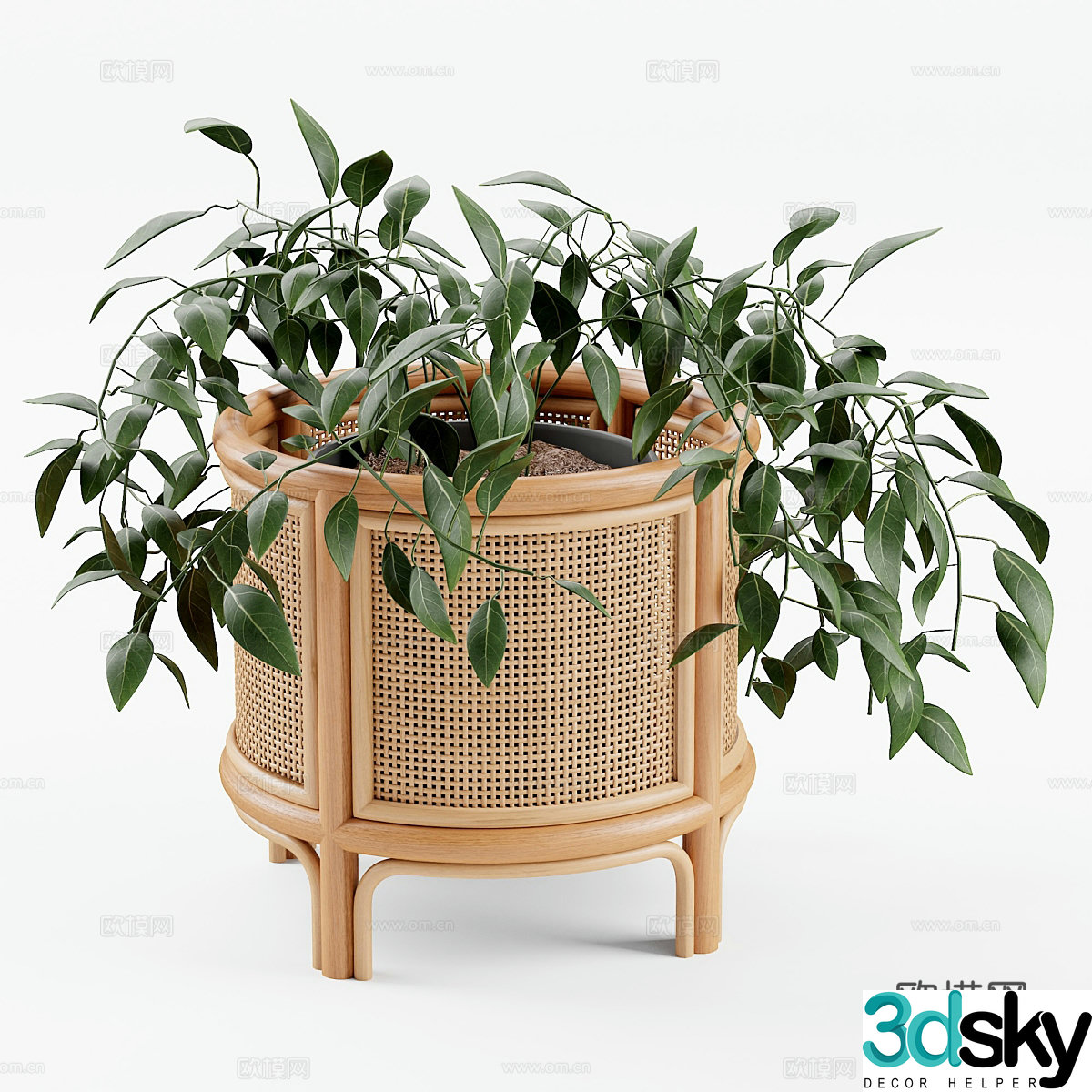 Green plant potted ornaments 3D model