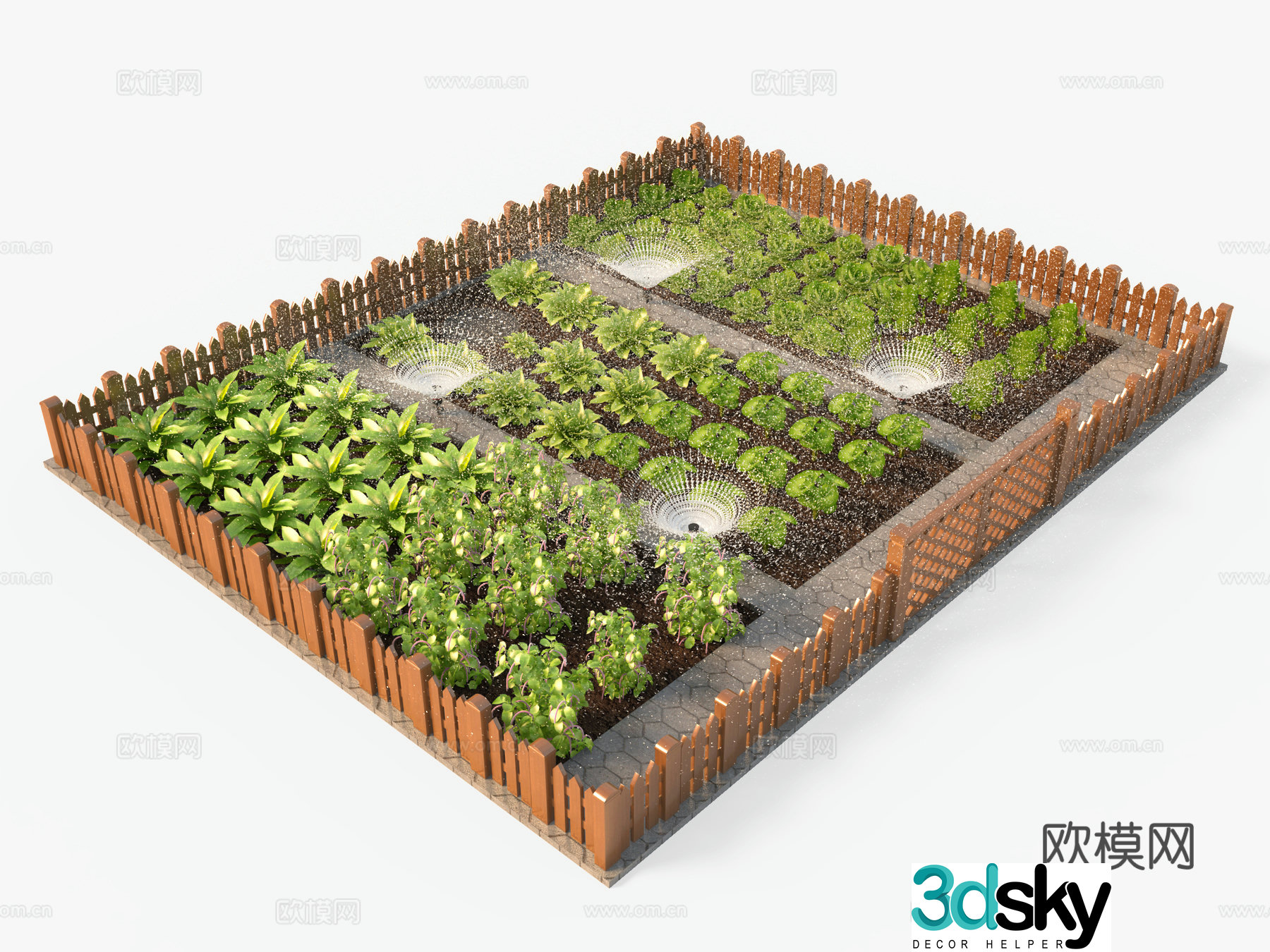 Vegetable field vegetable garden sprinkler head vegetable 3d model