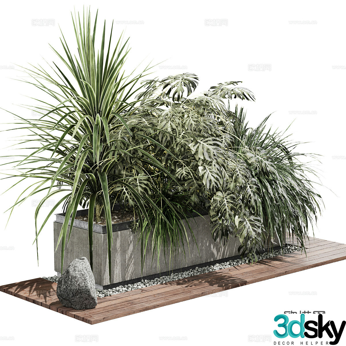 Plant bonsai 3d model