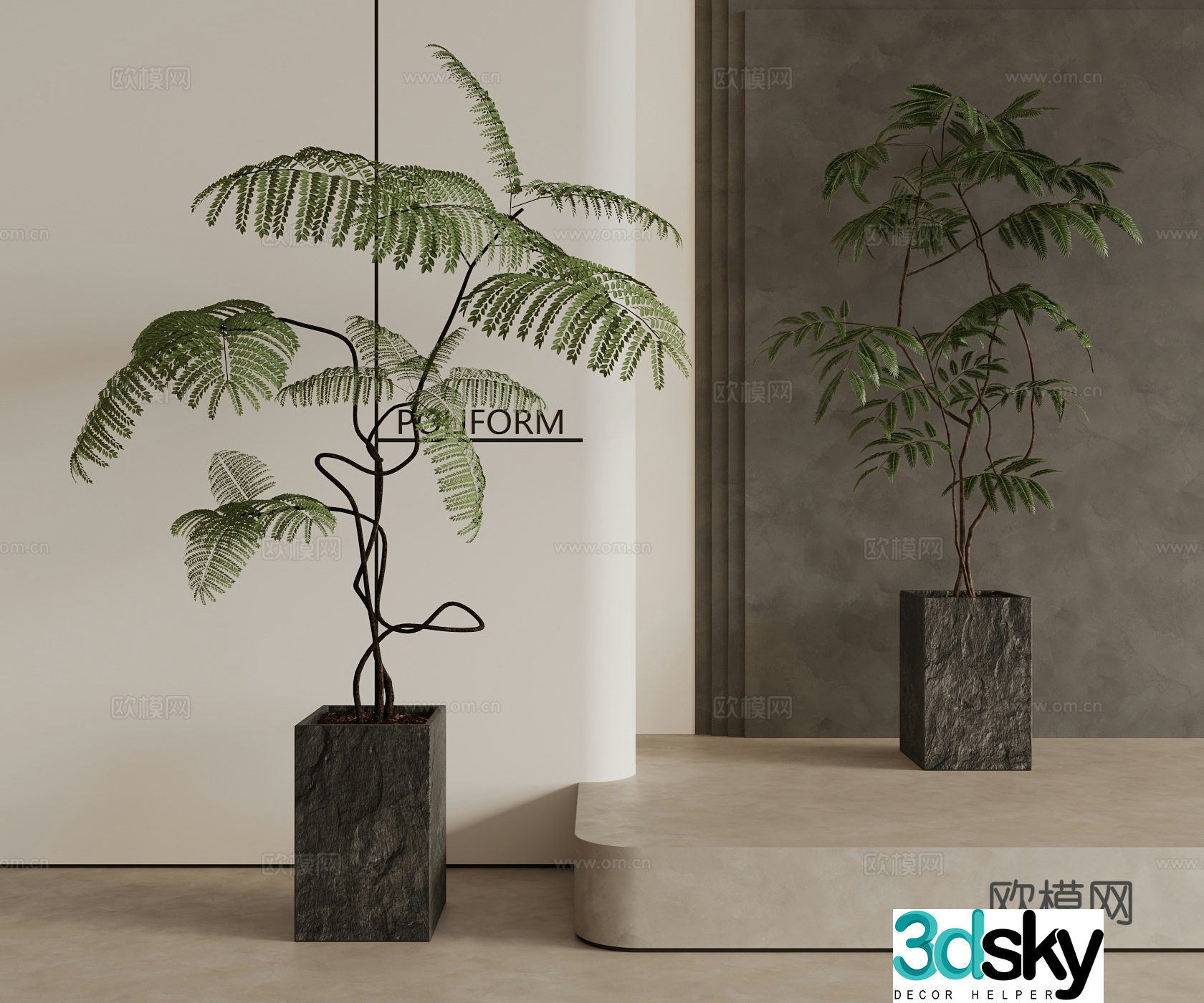 Modern Middle Style Plant 3D Model