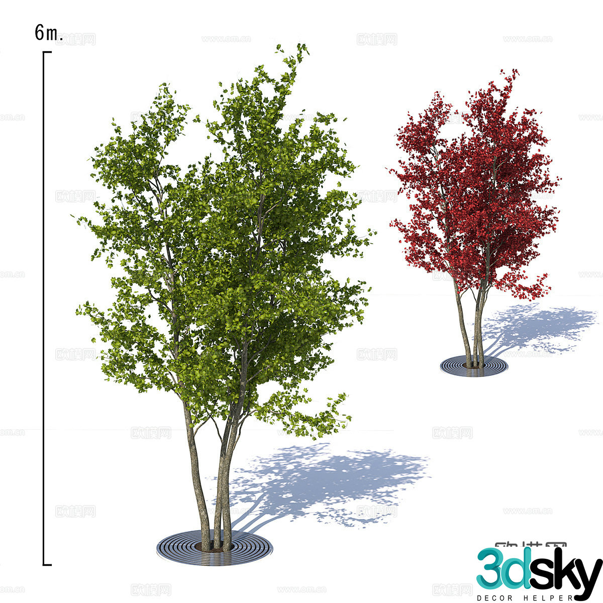 Maple tree 3d model
