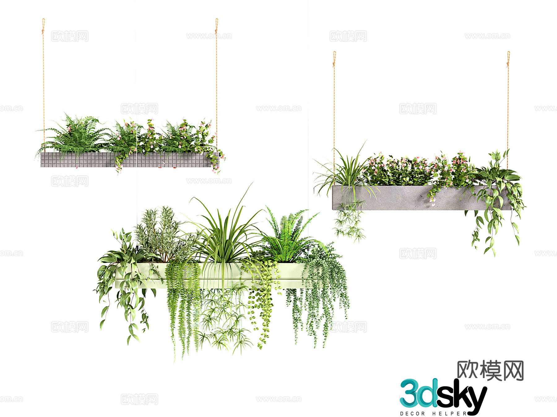 Modern hanging pot hanging plant green plants hanging pot plants fern vine plants flowers and plants green ivy 3D model