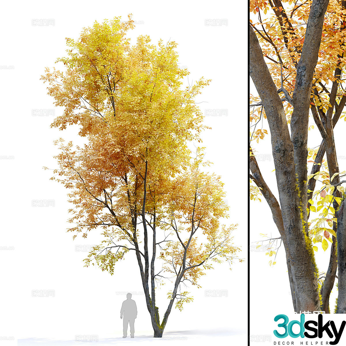 Yellow tree 3d model