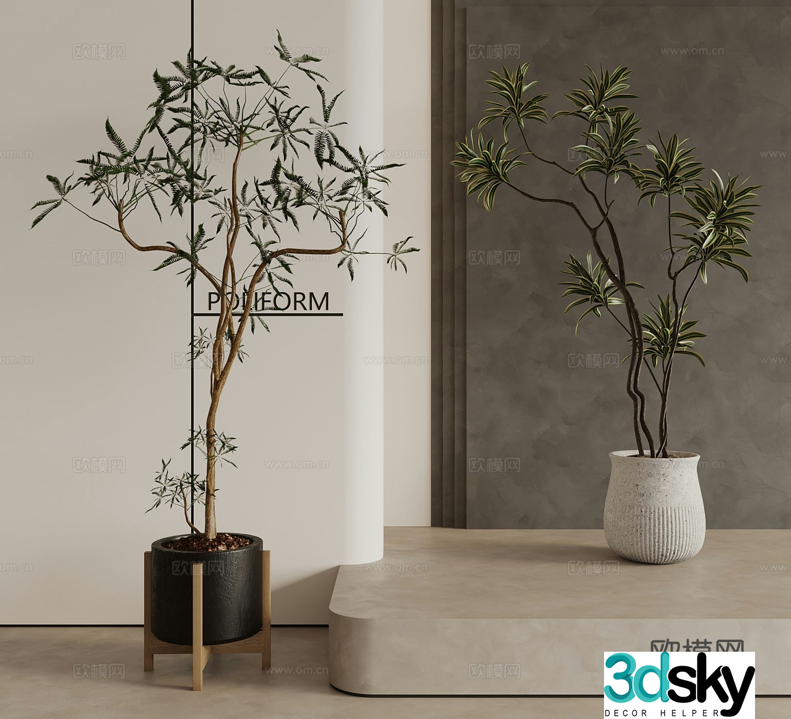 Modern Middle Style Plant 3D Model