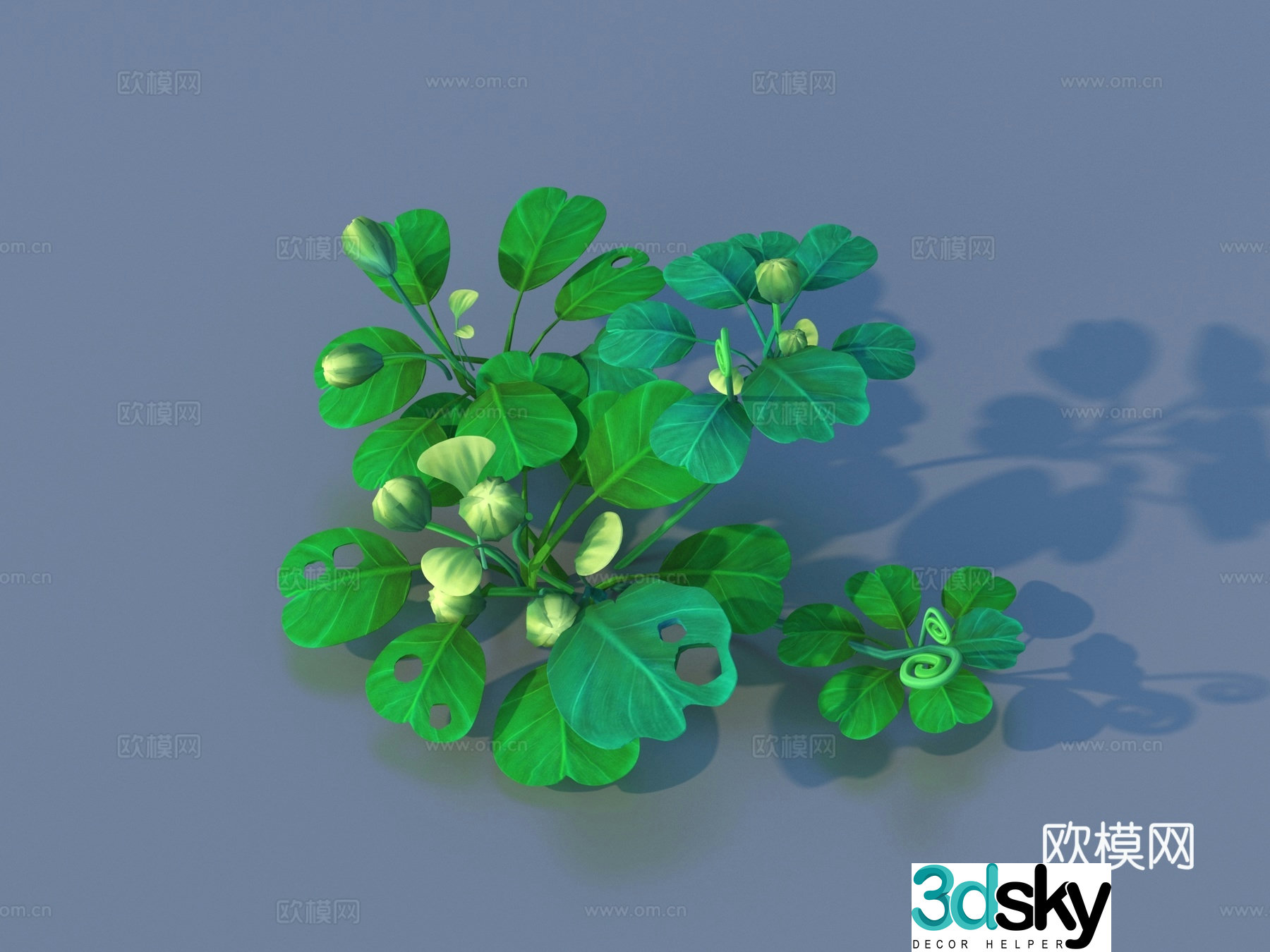 Cartoon Plants Shrub Flowers and Plants 3d Model