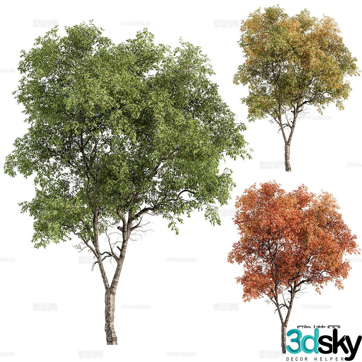 Tree 3d model