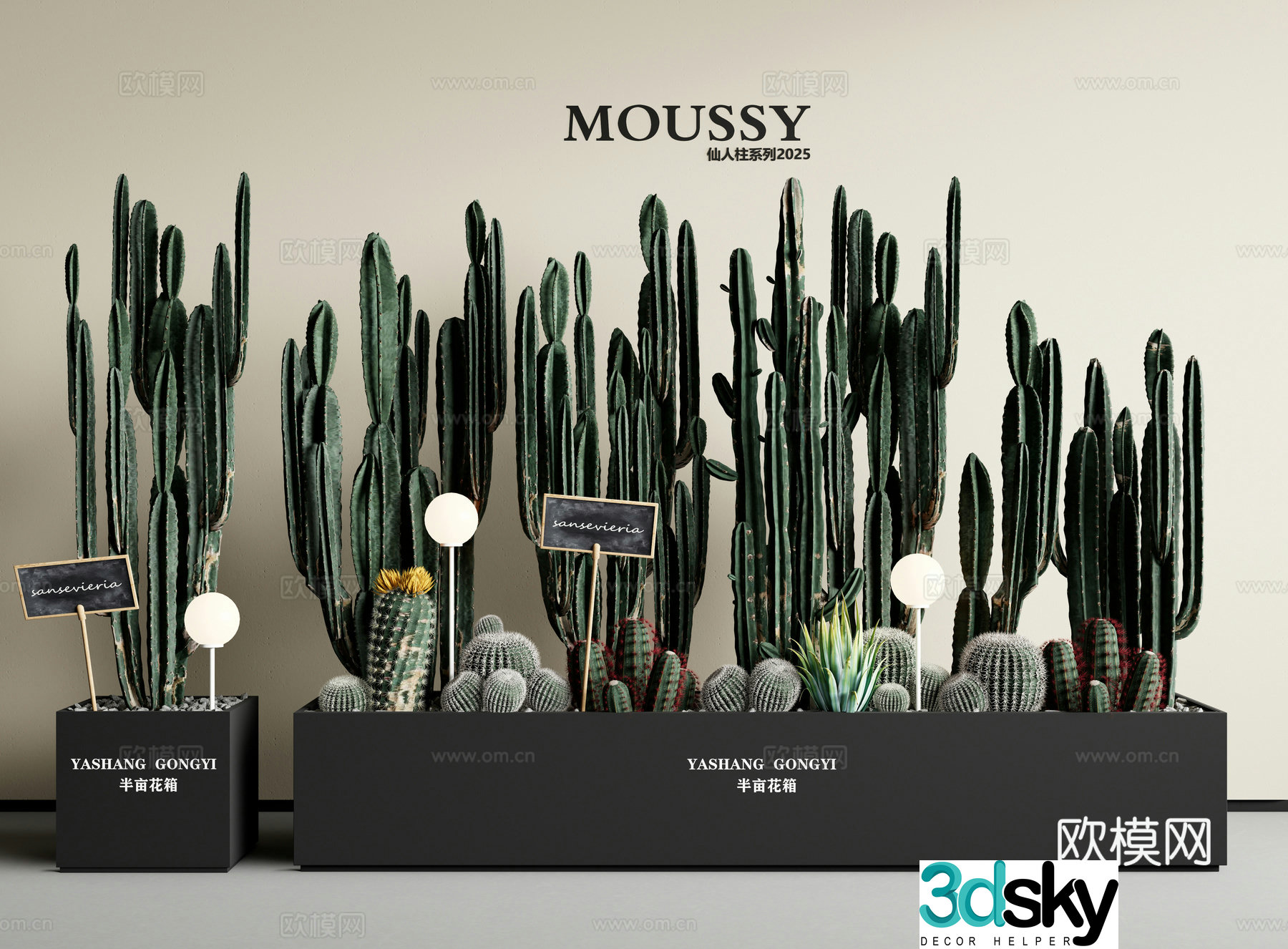 Cactus Cactus column succulent indoor landscape flower box 3D model