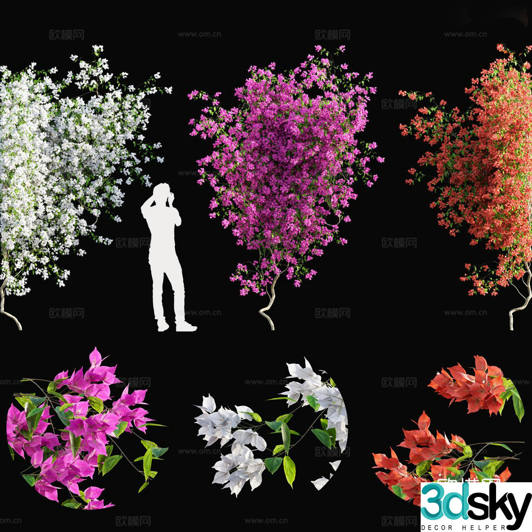 Flowering plant 3d model