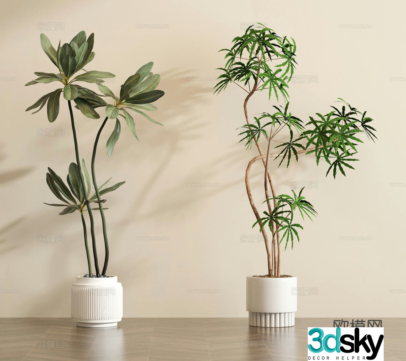 Green plant potted bonsai 3D model