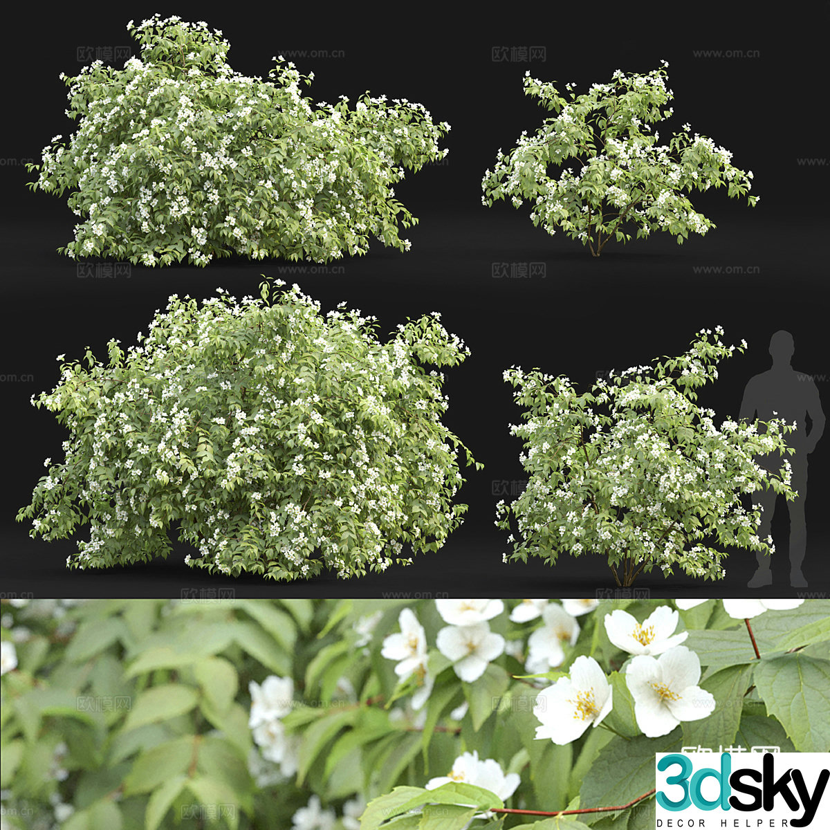 White flower bush 3d model