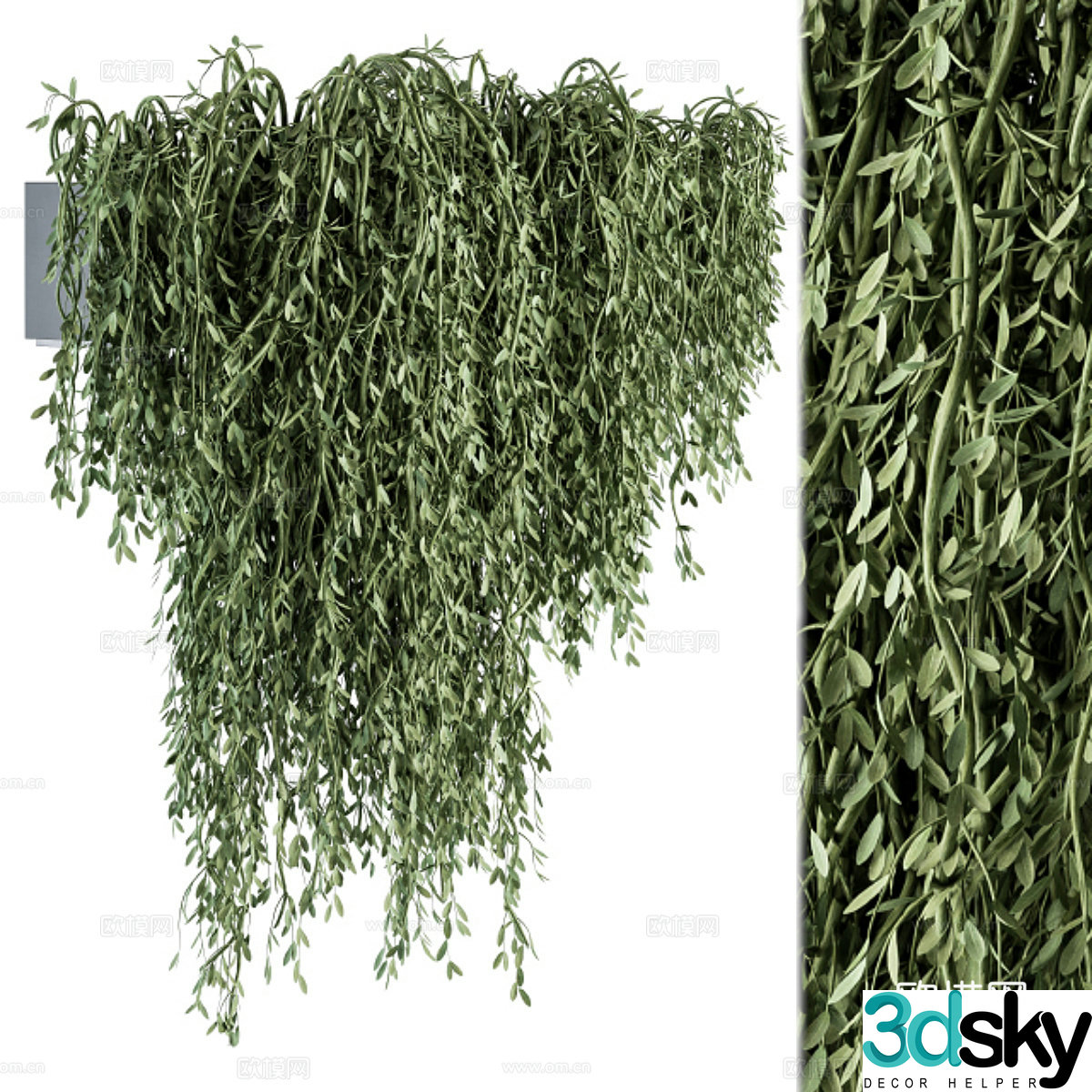 Hanging plant 3d model