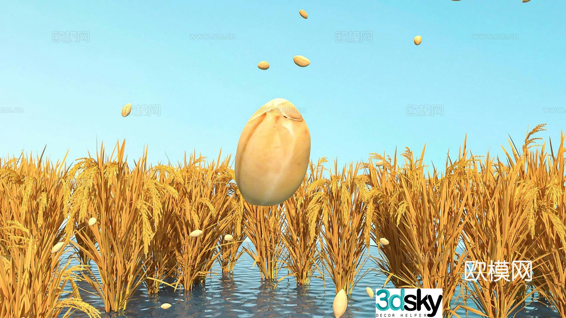 Farmland rice and rice landscape wheat rice fields 3D model