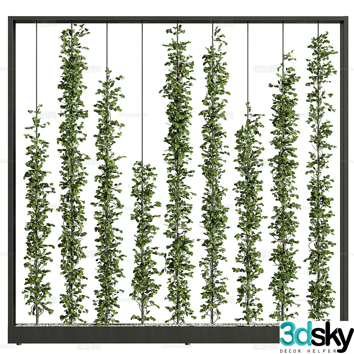 Plant wall green plant wall 3d model