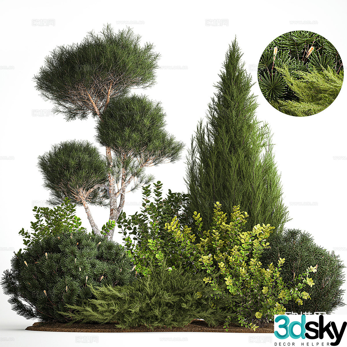 Plant heap Garden landscape 3d model