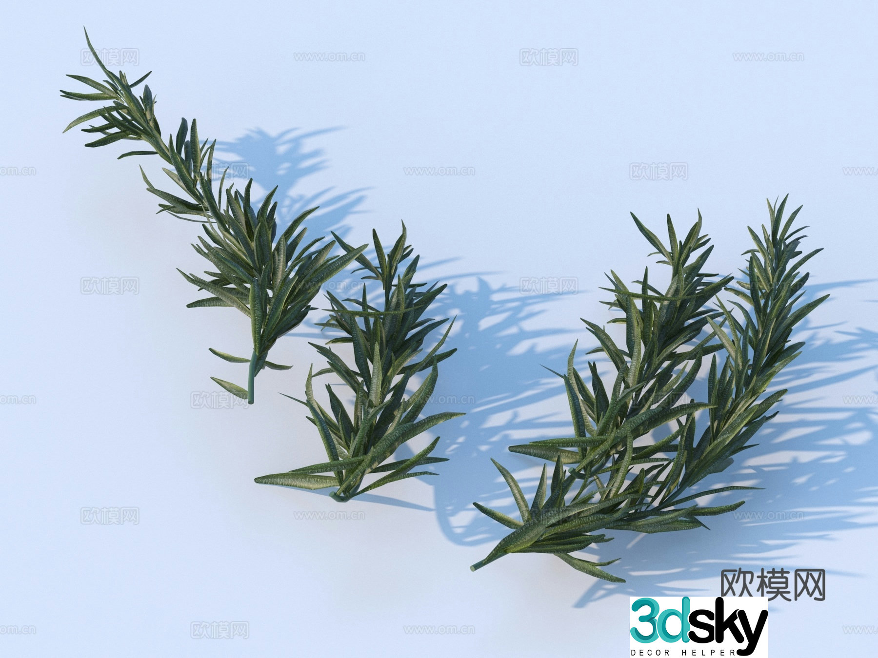 Vegetables vegetable leaves side dishes food 3d model