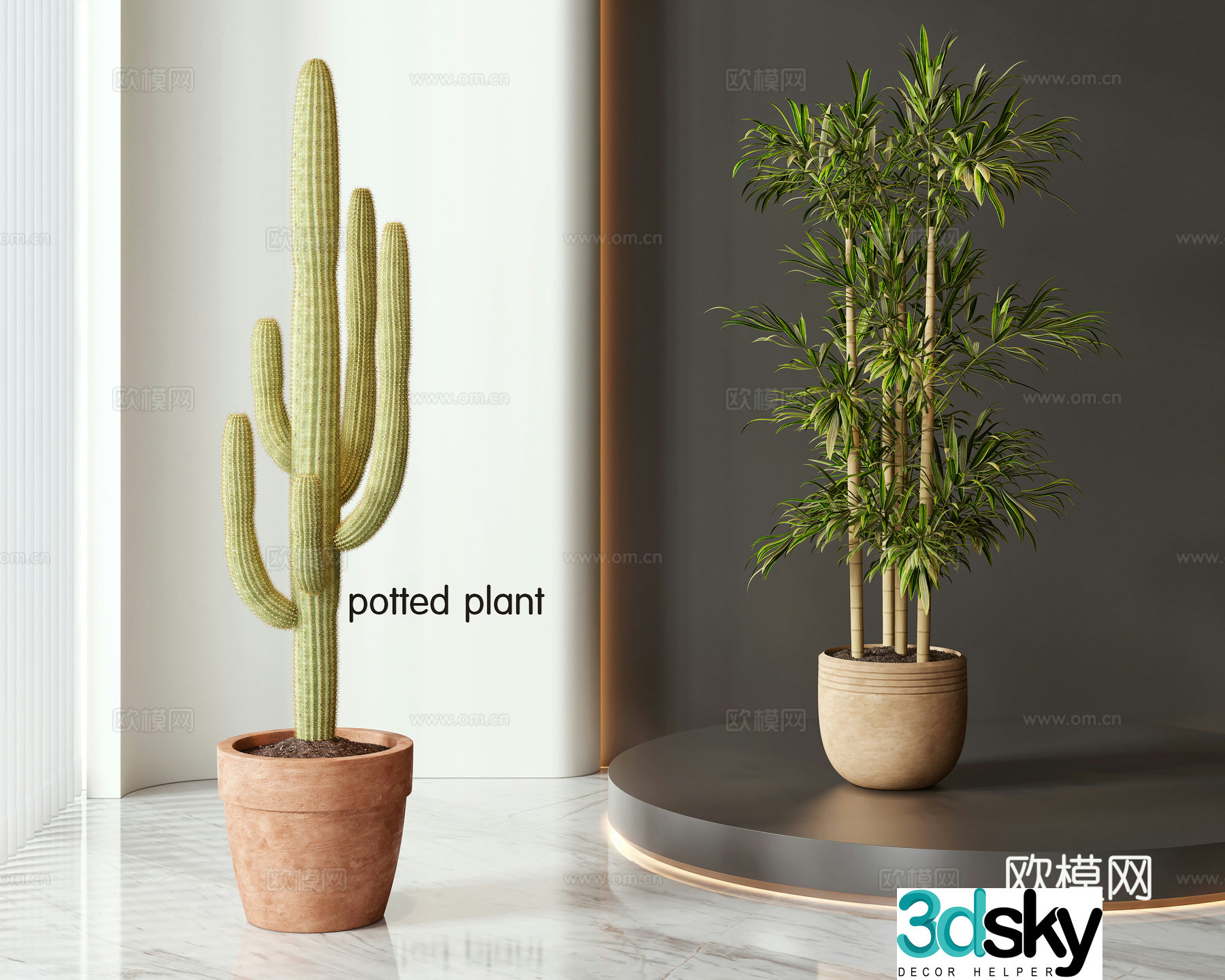 Modern potted bonsai combination 3D model