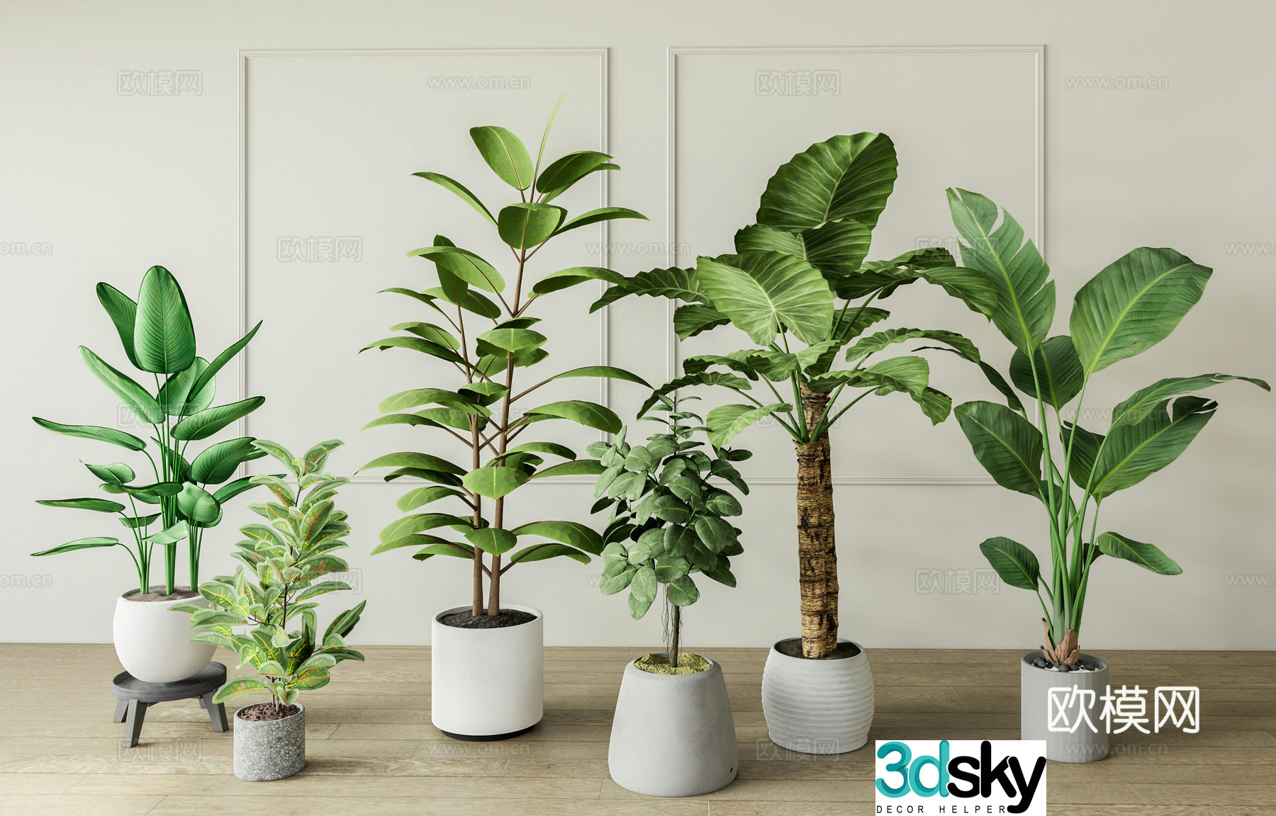 Modern plant potted 3D model