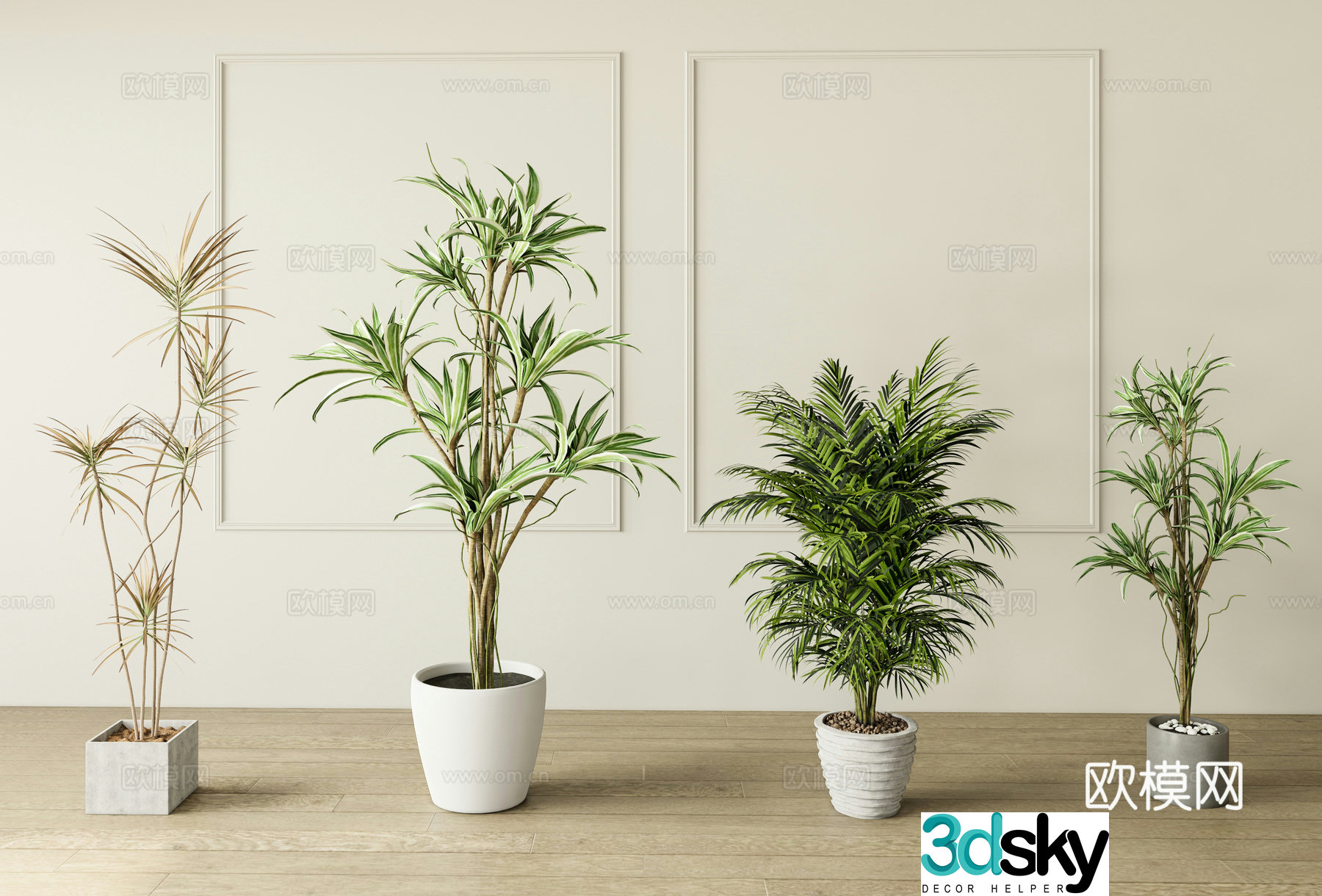 Modern plant potted 3D model