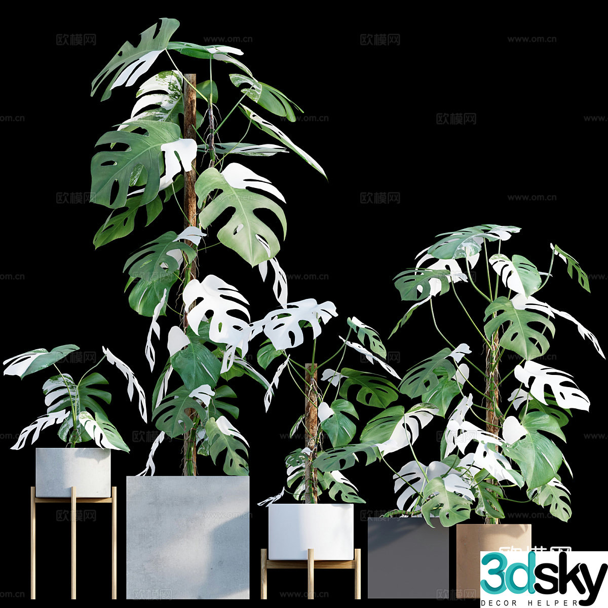 Green plant potted 3D model