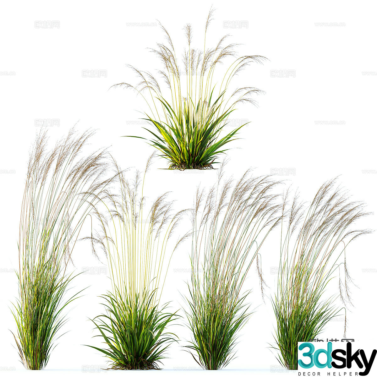 3d model of bush