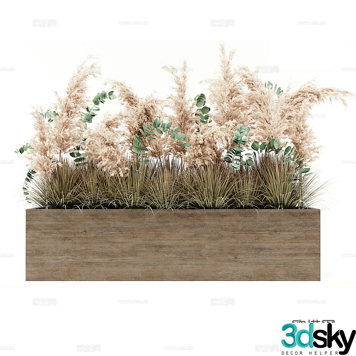 Pampas Grass Bonsai 3D Model