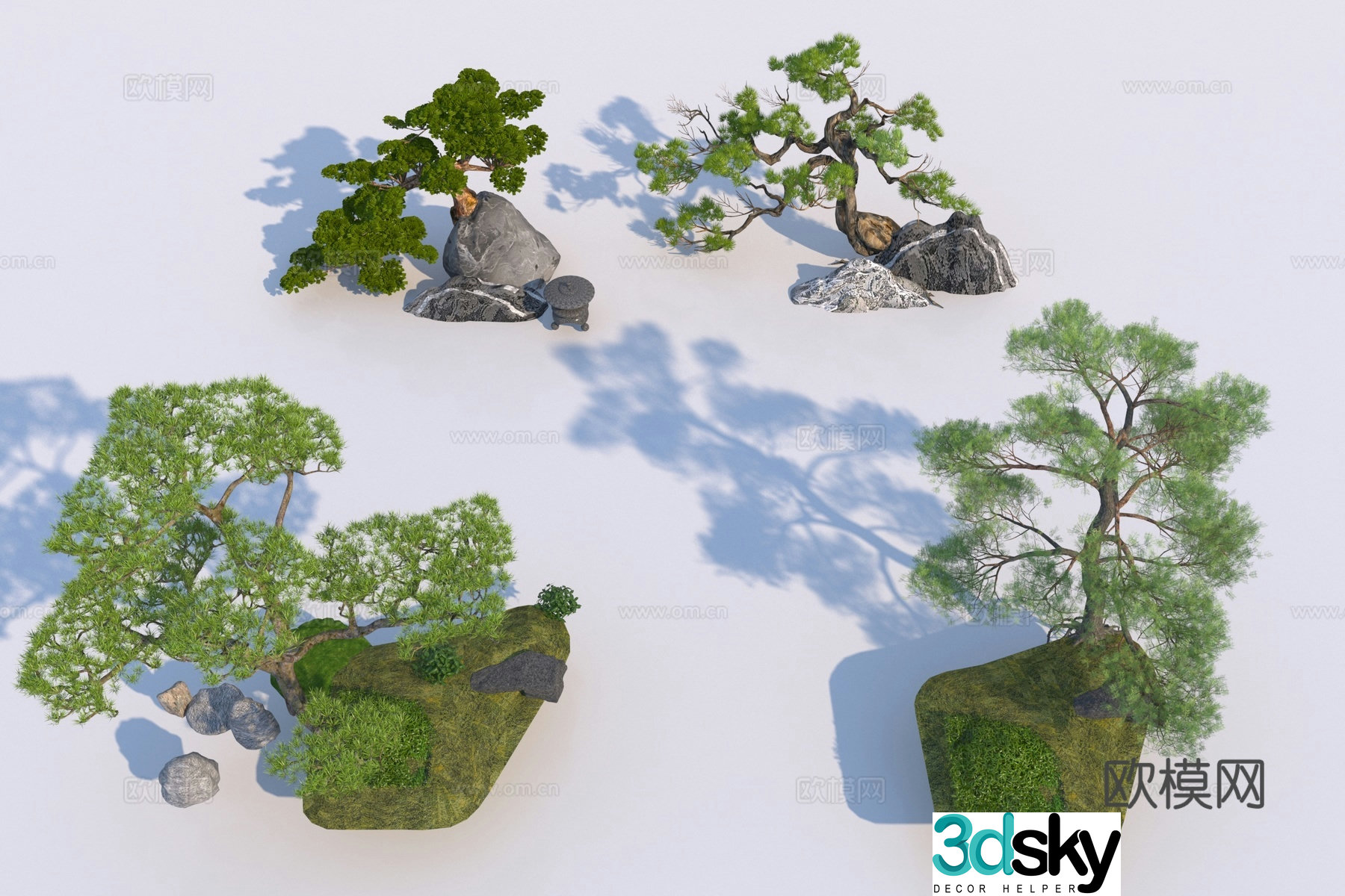 Chinese style Populus Populus Populus 3D model
