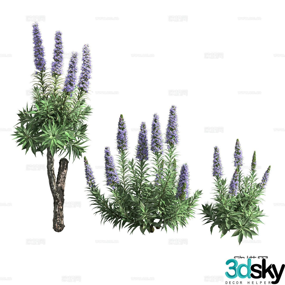 Purple plant 3d model