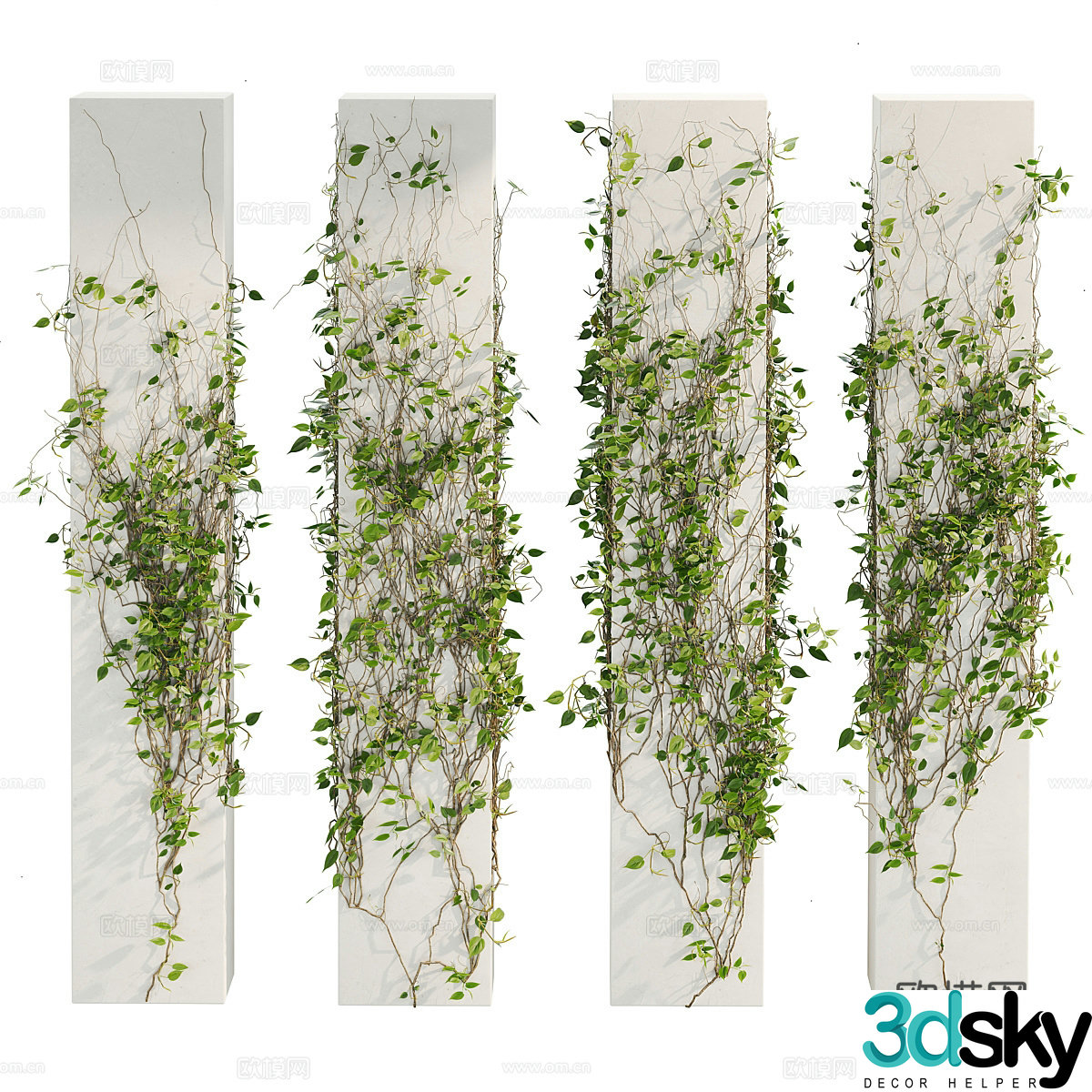 3D model of climbing plants