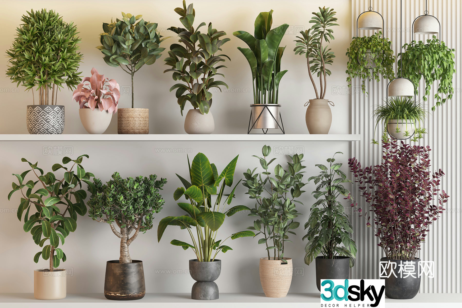 Modern green plant potted plant combination flower pot wealth tree rubber tree flower black diamond potted plant 3d model