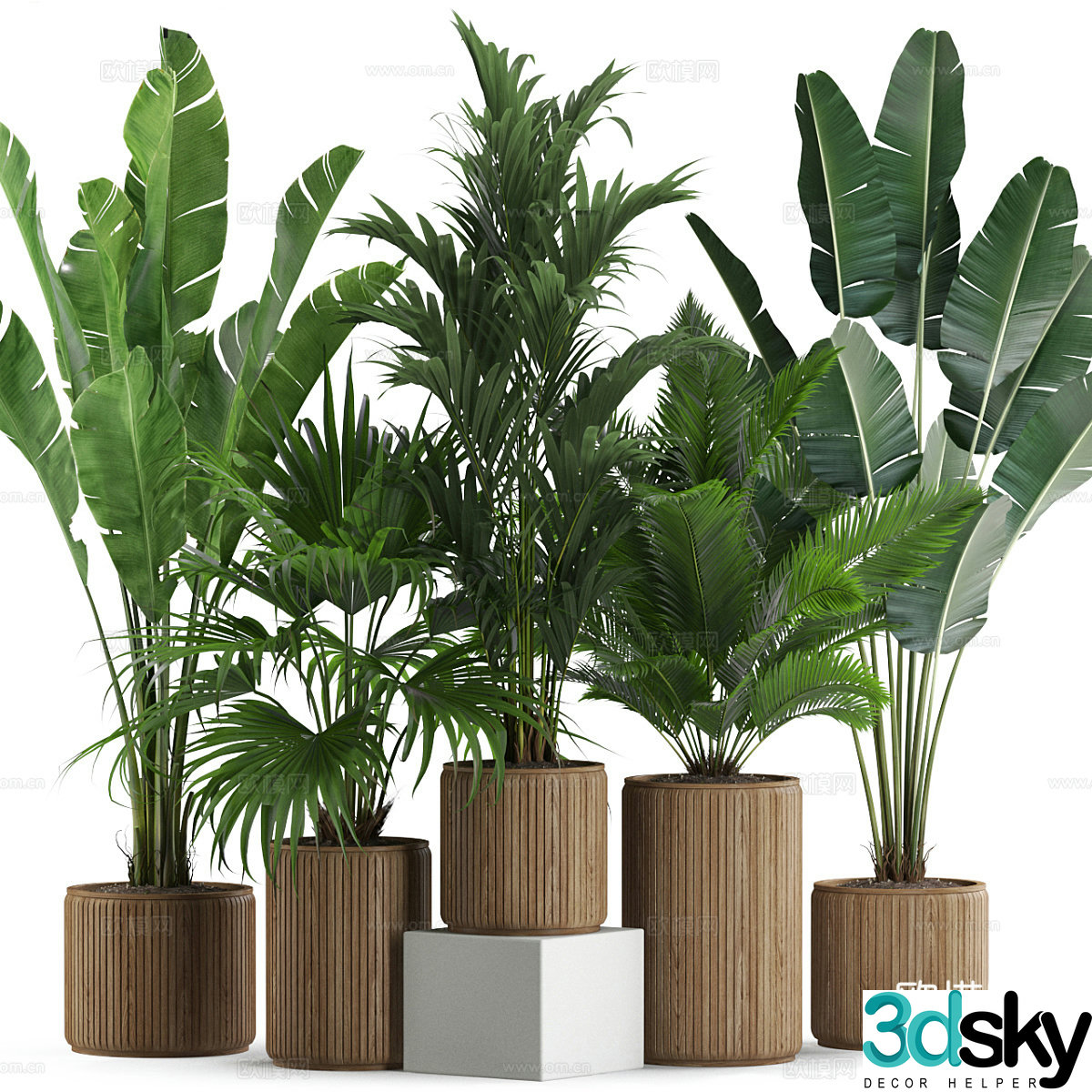 Green plant potted 3D model