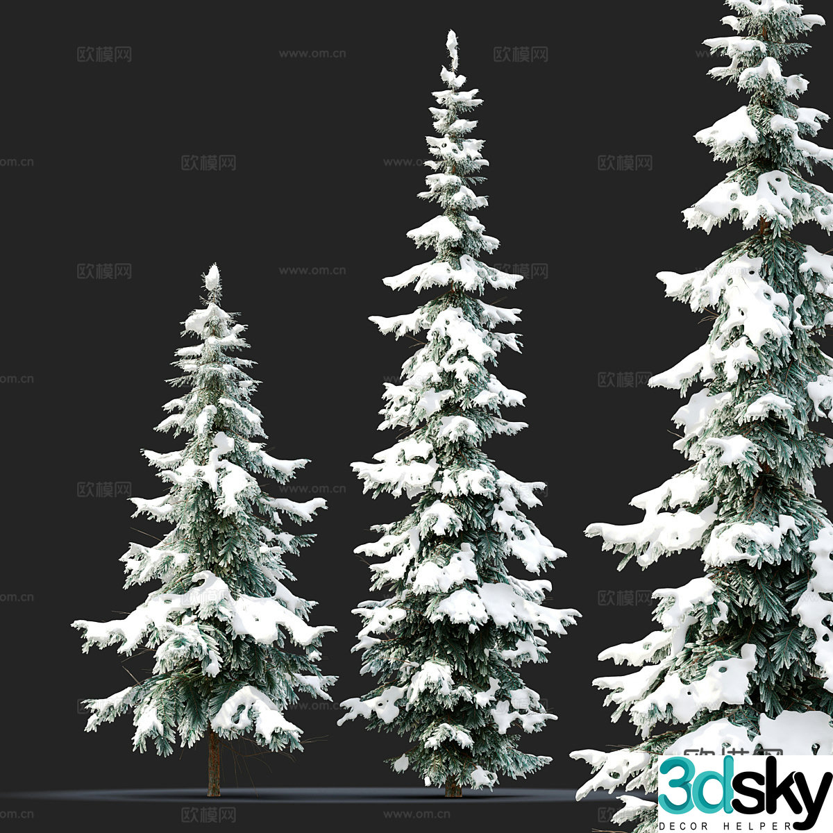 Fir tree 3d model