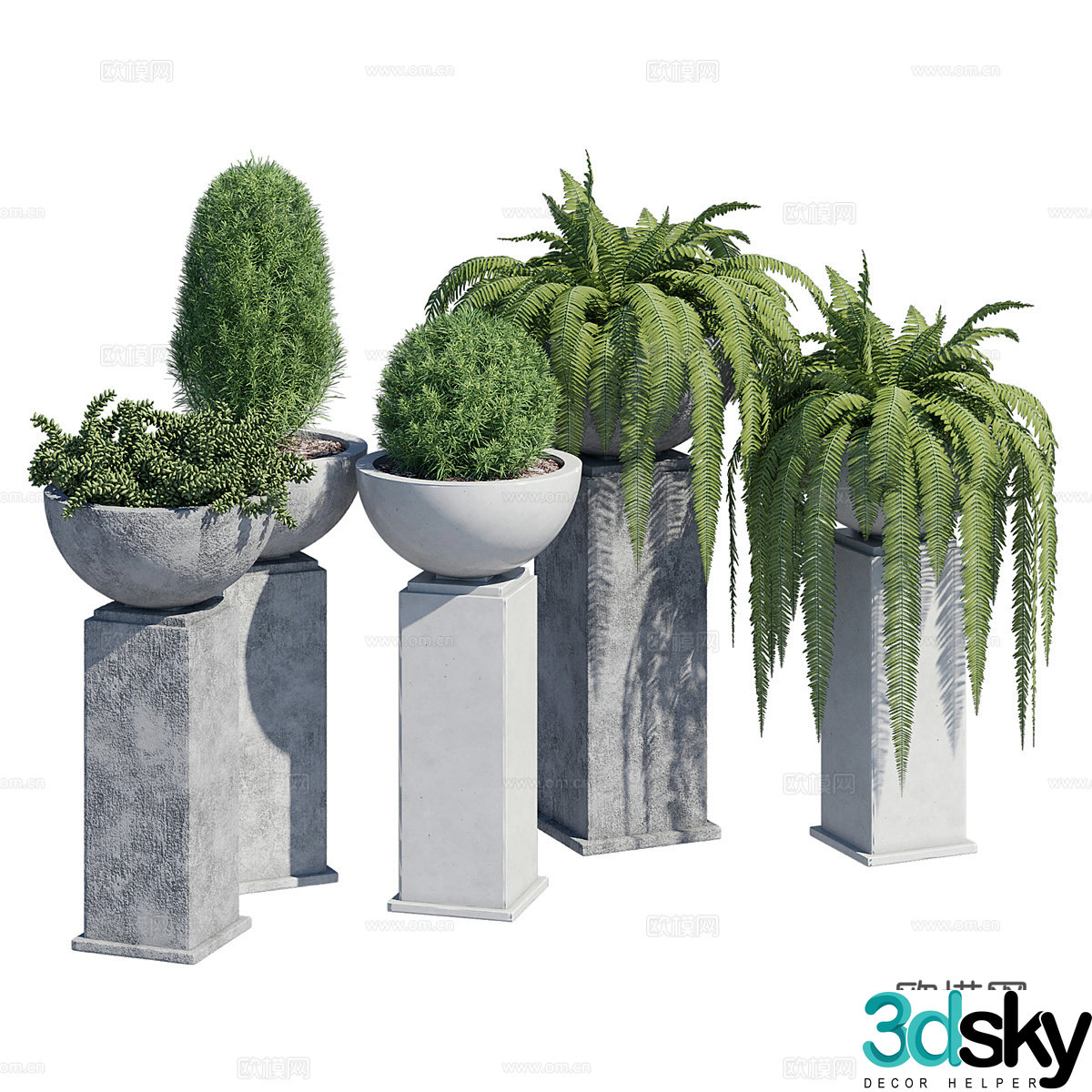 3D model of bonsai pot plant