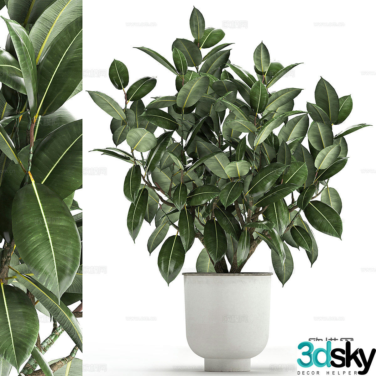 Green plant potted 3D model