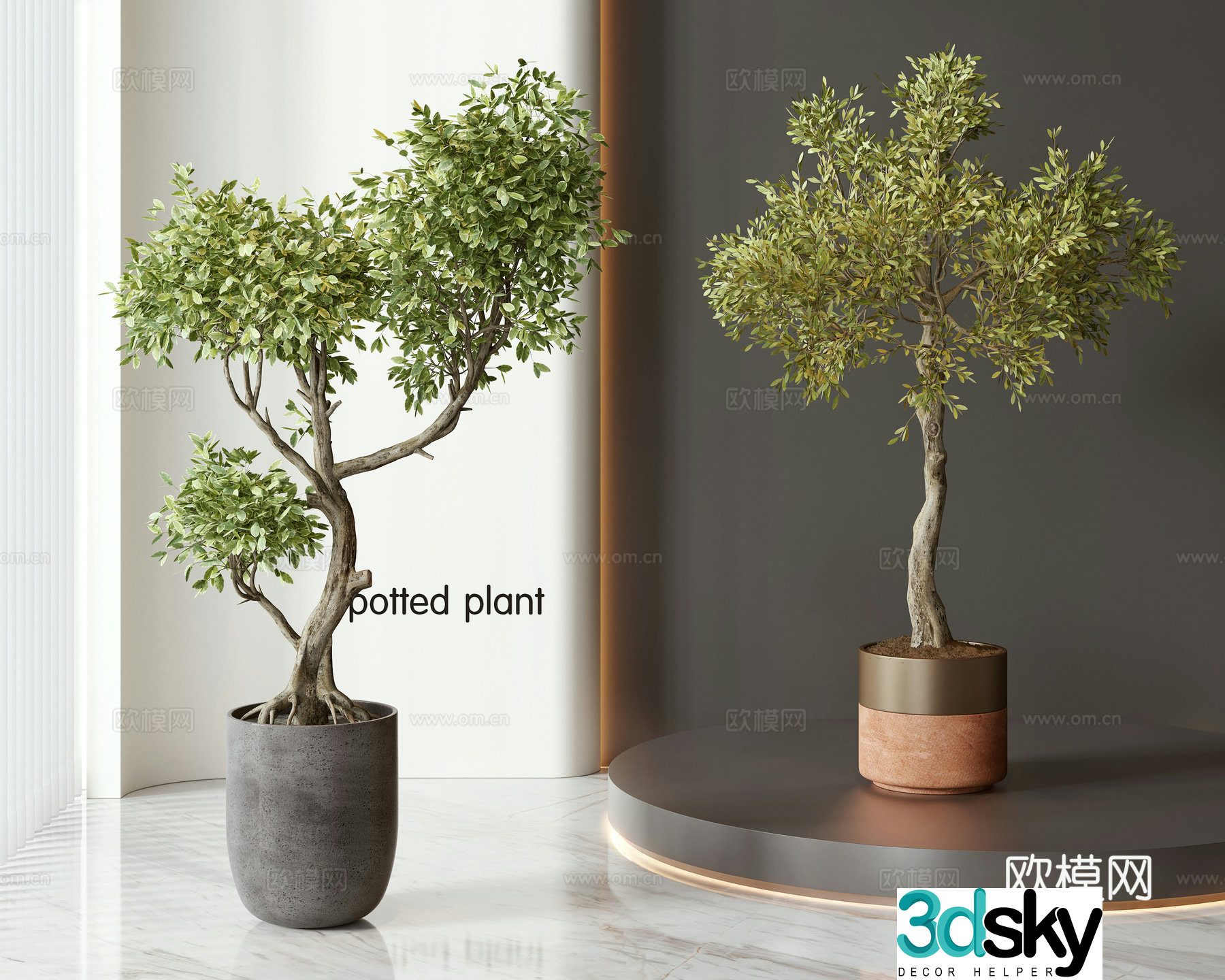 Modern potted bonsai green plant combination 3D model