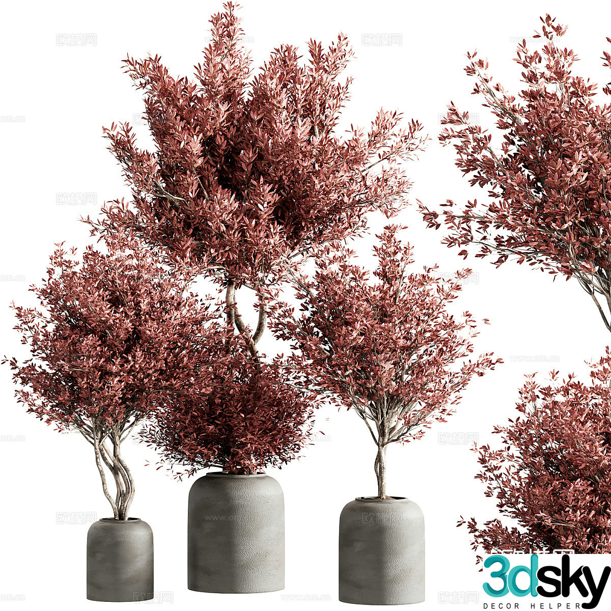 New Chinese potted 3D model