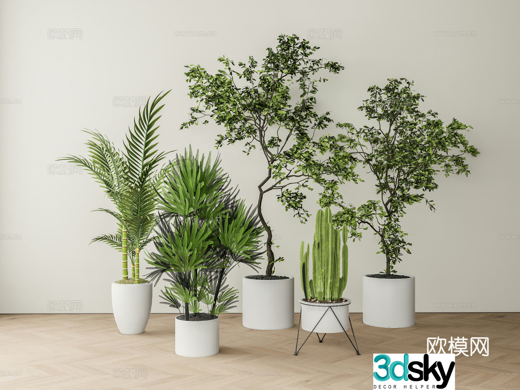 Modern green plant potted 3D model