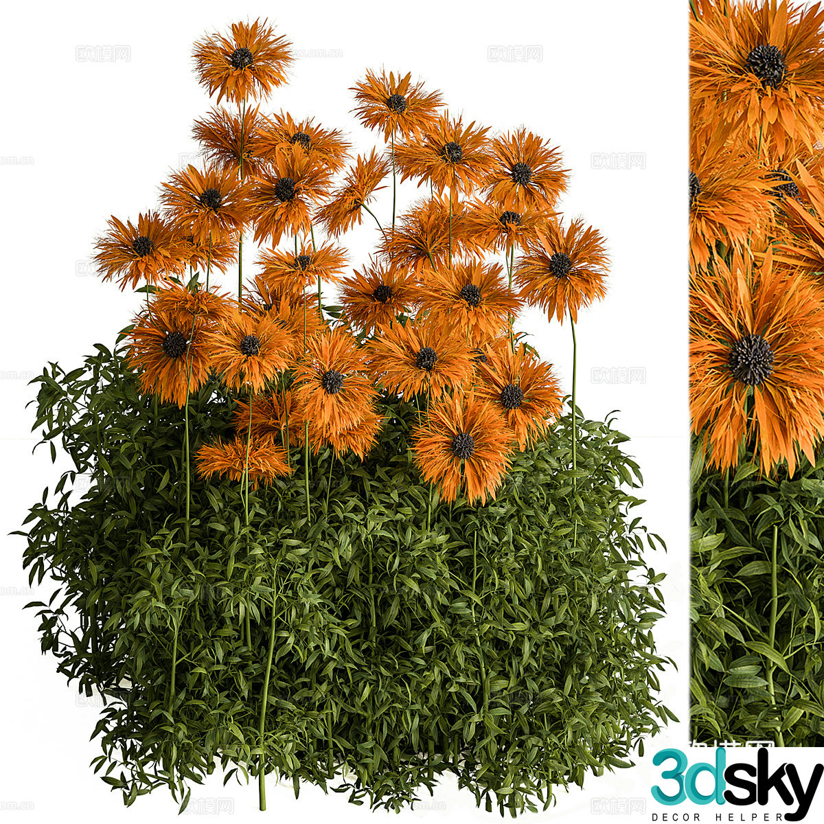 Sunflower 3d model