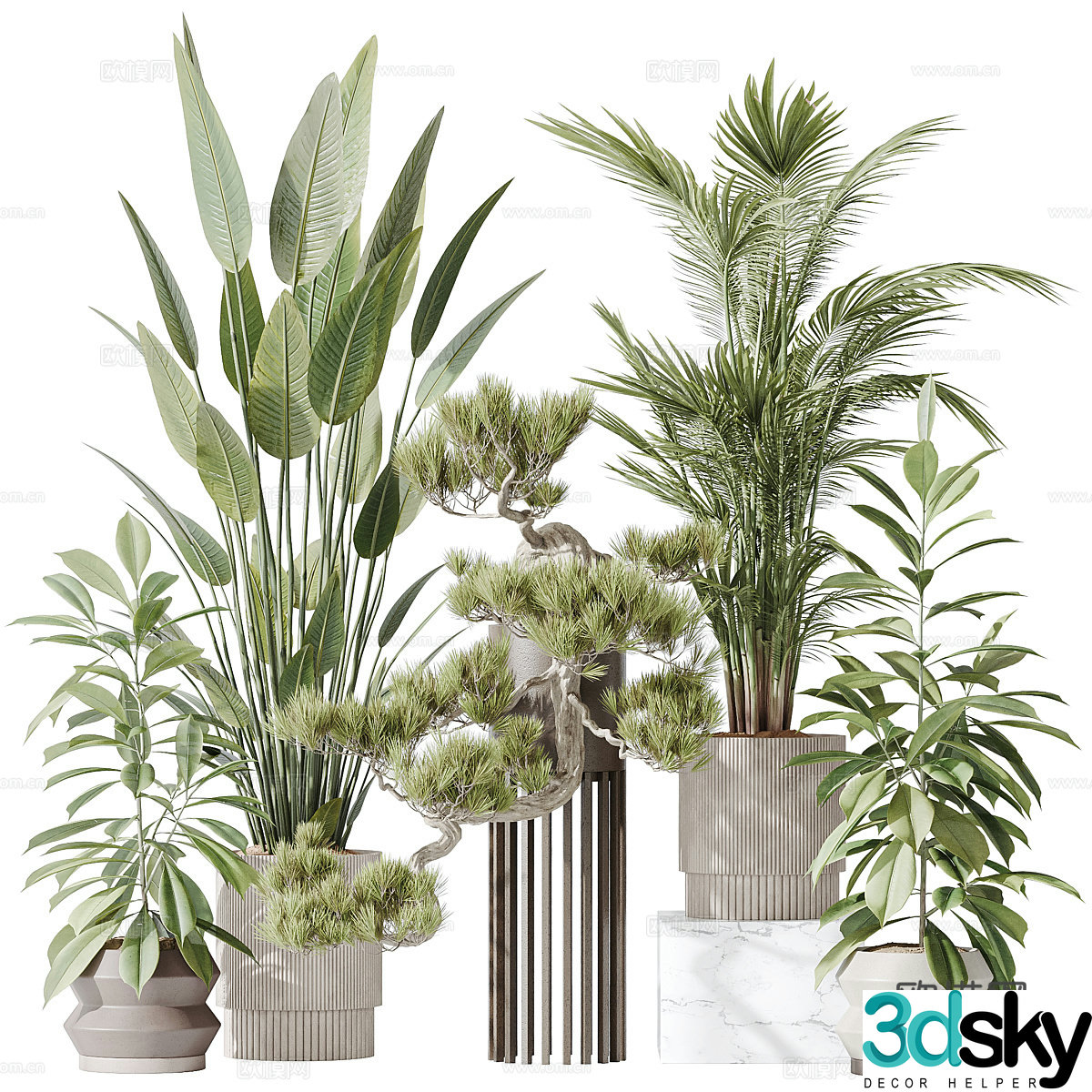 Modern green plant potted 3D model
