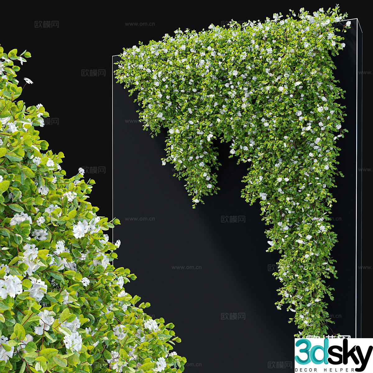 Hanging plant 3d model