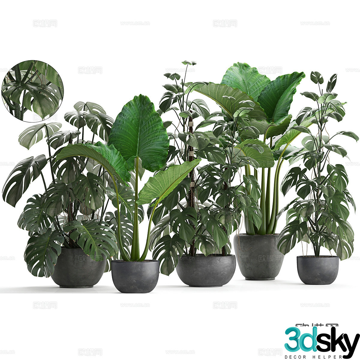 Green plant potted 3D model